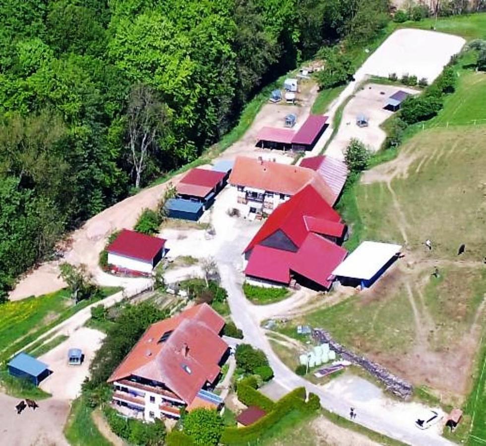 Pferdehof Und Wanderreitstation Doersam Villa Mörlenbach Buitenkant foto
